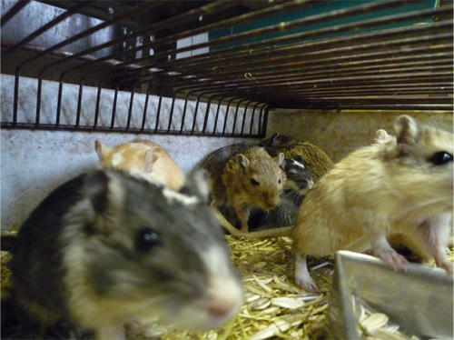 20120922_10.jpg