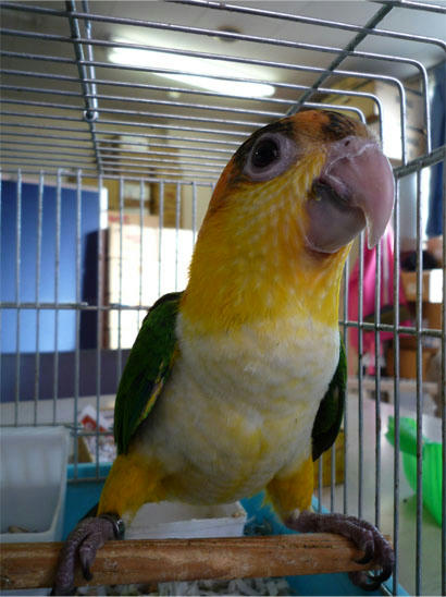 20121013_2.jpg