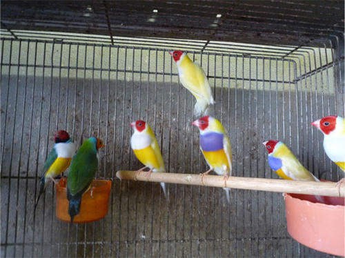 20121013_4.jpg