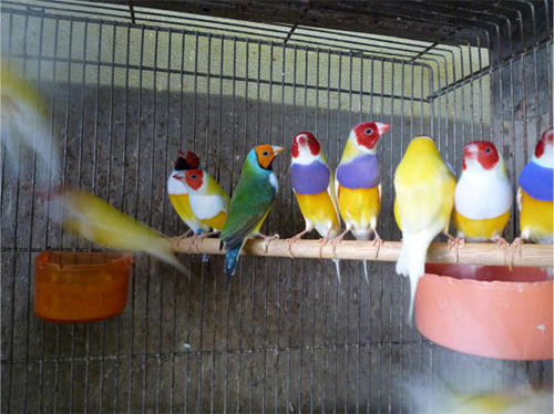 20121013_7.jpg
