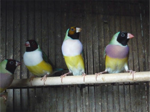 20121013_8.jpg