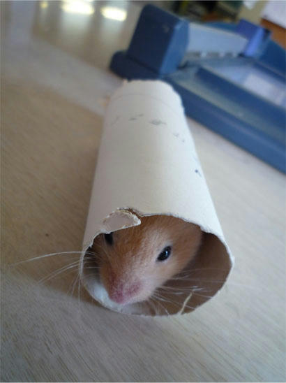 20121013_12.jpg