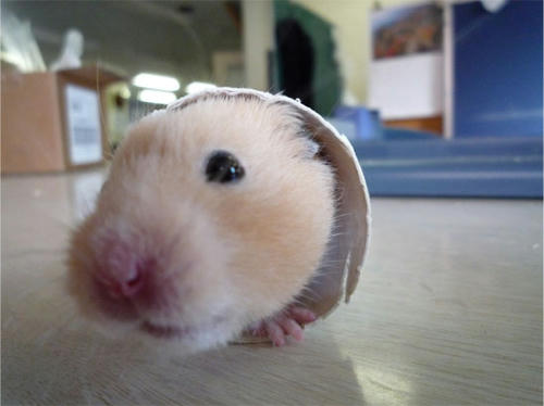 20121013_14.jpg