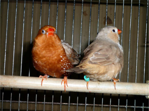 20121020_1.jpg