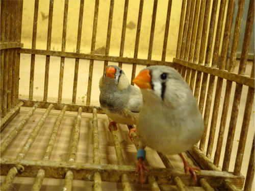 20121020_2.jpg
