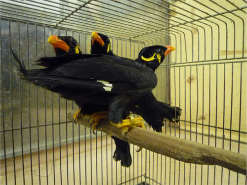 20121024_3.jpg