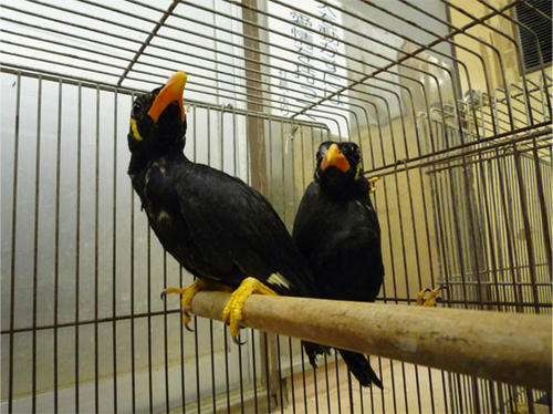 20121024_4.jpg
