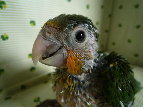 20121025_2.jpg