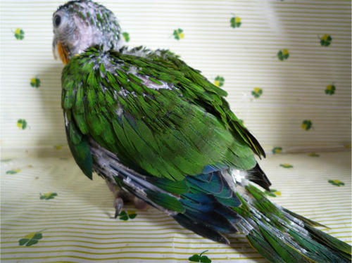 20121025_3.jpg