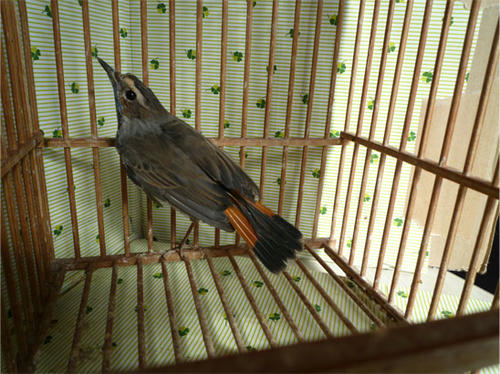 20121103_2.jpg