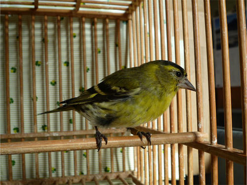 20121103_3.jpg