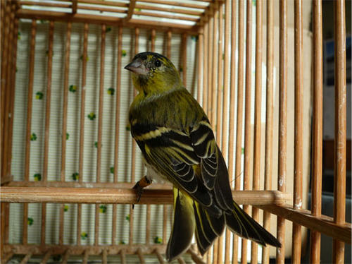 20121103_4.jpg
