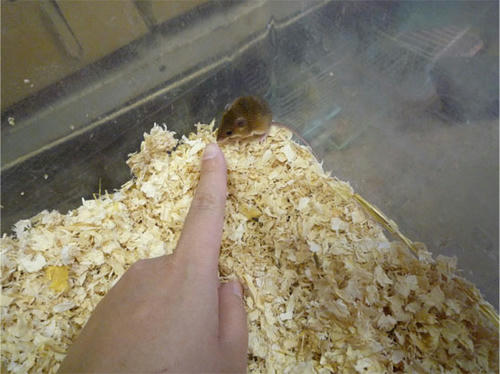 20121110_3.jpg