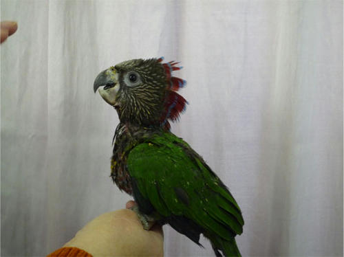 20121124_1.jpg