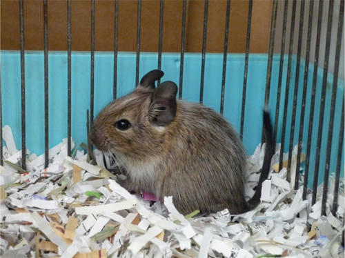 20130115_6.jpg