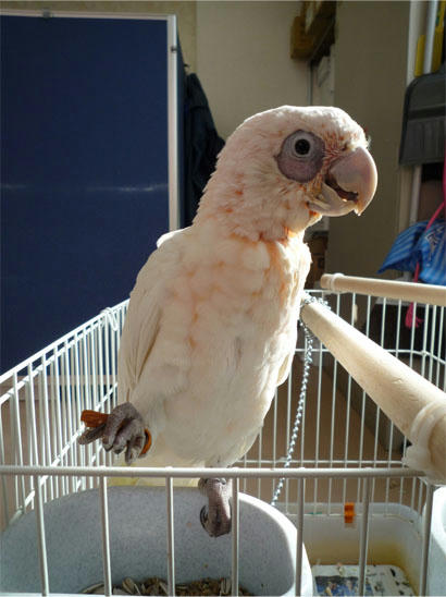 20130115_7.jpg