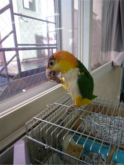 20130115_8.jpg