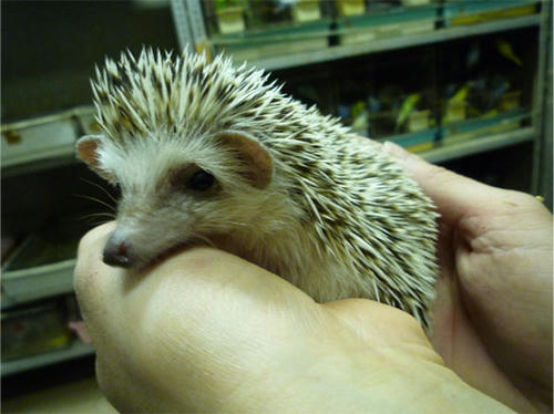 20130211_7.jpg