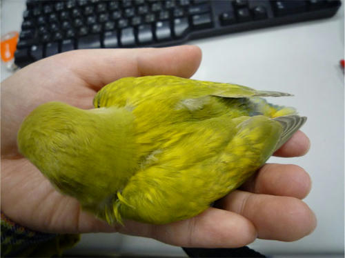 20130211_8.jpg
