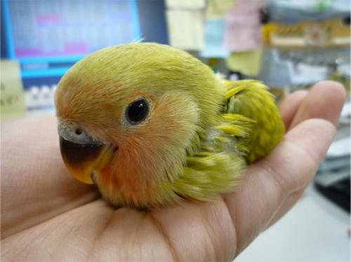 20130211_9.jpg