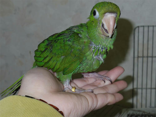 20130326_2.jpg