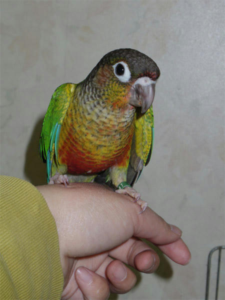 20130326_3.jpg