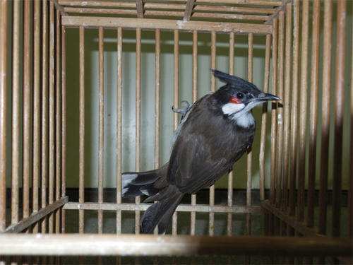 20130326_5.jpg