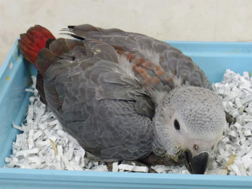 20130330_2.jpg
