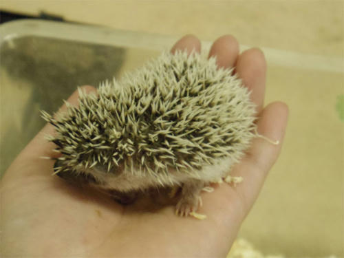 20130408_3.jpg