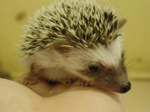 20130408_4.jpg