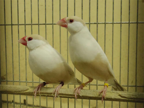 20130418_4.jpg