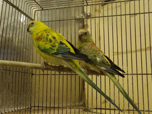 20130418_5.jpg