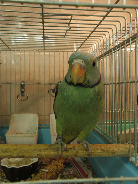 20130418_8.jpg