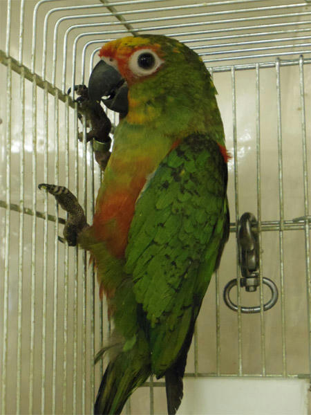 20130418_11.jpg