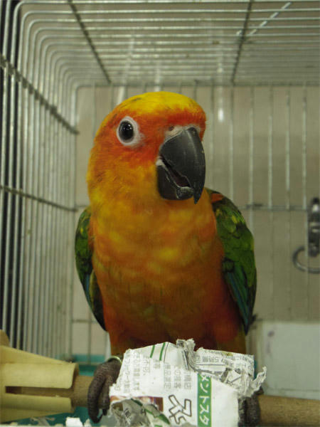 20130418_13.jpg