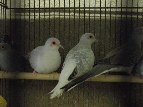 20130418_16.jpg