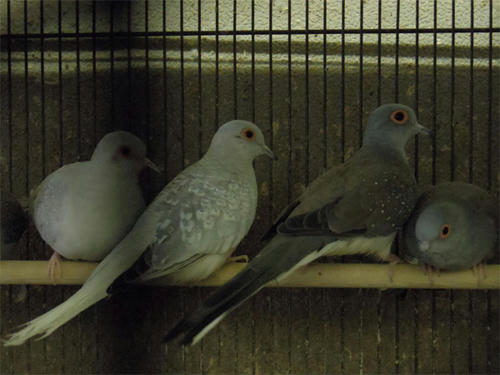20130418_15.jpg