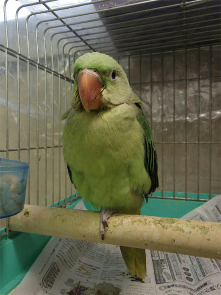 20130418_21.jpg