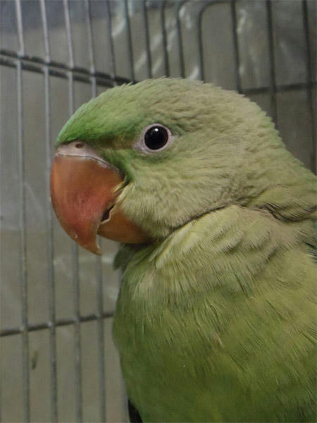 20130418_22.jpg