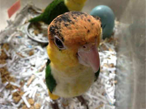 20130510_1.jpg