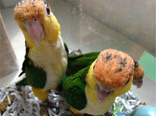 20130510_2.jpg