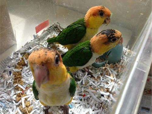 20130510_3.jpg