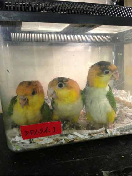 20130510_4.jpg