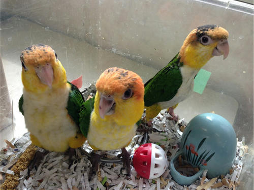 20130510_6.jpg