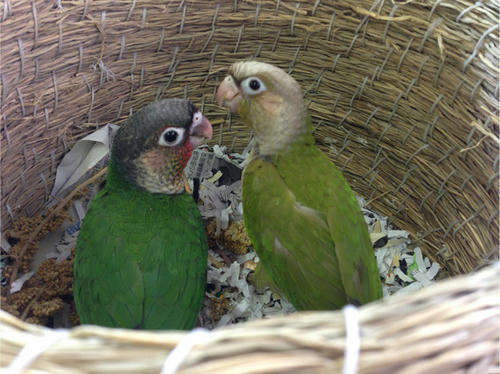 20130510_9.jpg