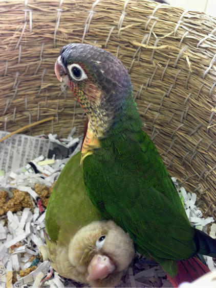20130510_10.jpg