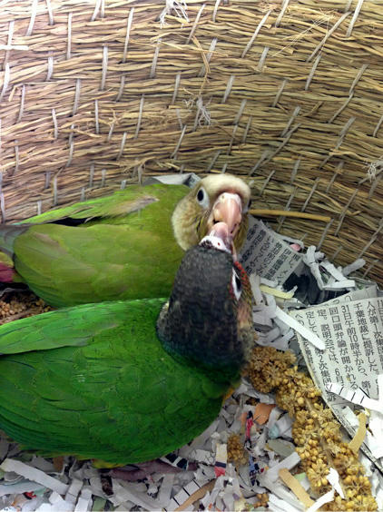 20130510_11.jpg