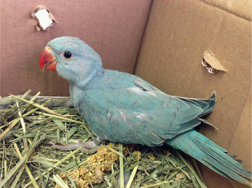 20130510_13.jpg