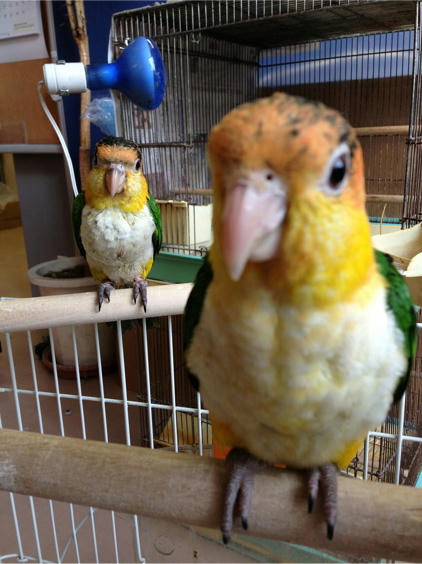 20130517_2.jpg