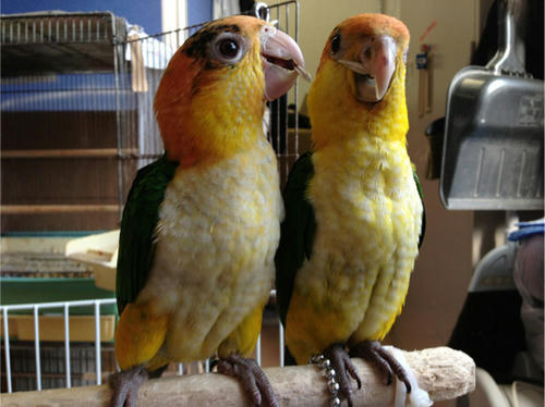20130517_3.jpg